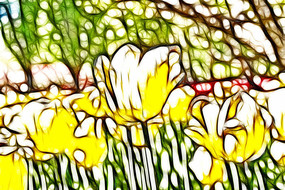 ��ɫ������������