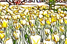 ��ɫ������װ�λ�