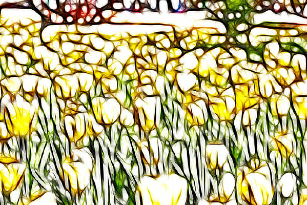 ��ɫ������װ�λ�