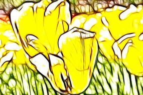 ��ɫ������װ�λ�