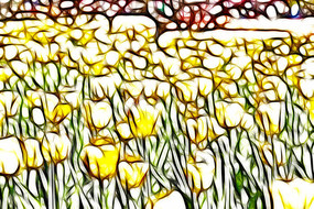 ��ɫ������װ���޿����