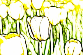 ��ɫ������װ���޿�