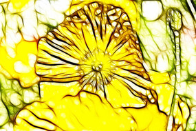 ��ɫ�����˳���