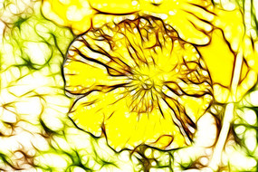 ��ɫ�������޿�