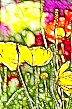 ��ɫ�������޿򻭳���