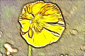 ��ɫ������������