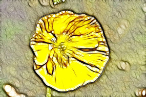 ��ɫ������װ���޿�