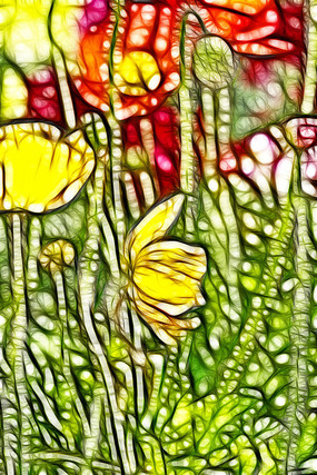 ��ɫ������װ��������