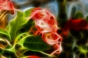 ����÷�λ��޿�