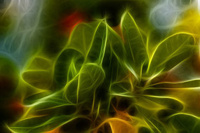 ����÷������