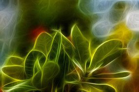 ����÷װ�λ�