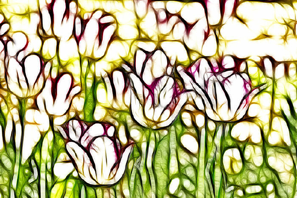 ��Ͽ����������������