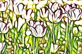 ��Ͽ��������޿����