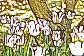 ��Ͽ��������޿�