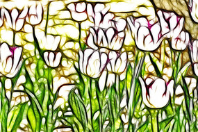 ��Ͽ�������װ�λ��޿�