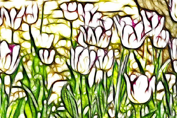 ��Ͽ�������װ�λ��޿�