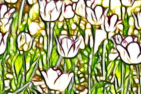 ��Ͽ�������װ���޿�