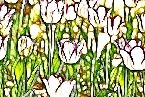 ��Ͽ�������װ���޿�