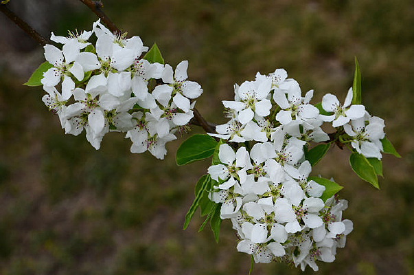 �������滨