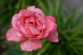 �������¼���