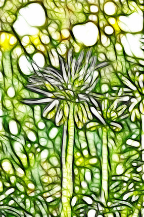 ����³�ر�ĸ����