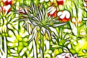 ����³�ر�ĸ����������