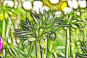 ����³�ر�ĸ�޿�