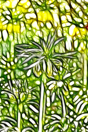 ����³�ر�ĸ�޿�������