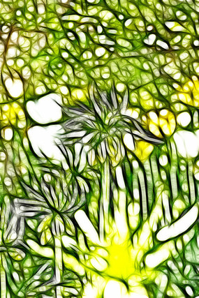 ����³�ر�ĸ������