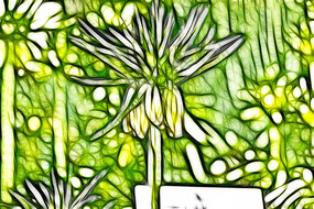 ����³�ر�ĸװ�λ�������