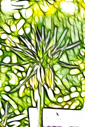 ����³�ر�ĸװ���޿�