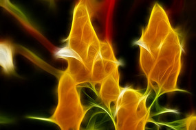 ���������������