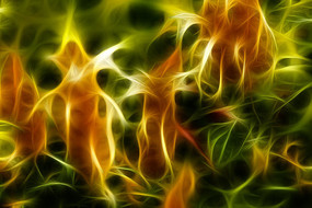 ����� �޿�