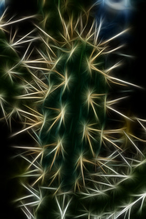 �����������Ƴ����޿�