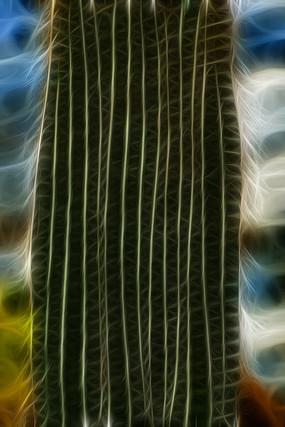 �����������Ƴ���������