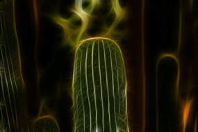 �����������Ƴ���װ�λ�