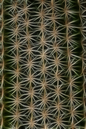 ������������������