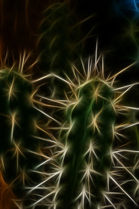 ������������װ�λ�