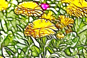 ��յ�ճ���