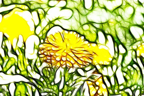 ��յ���޿����