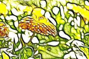 ��յ���޿�