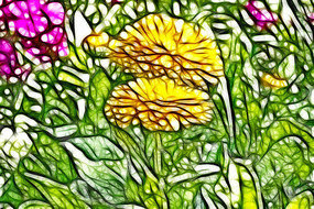 ��յ��������