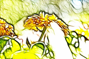 ��յ��װ�λ�