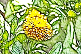 ��յ��װ���޿�