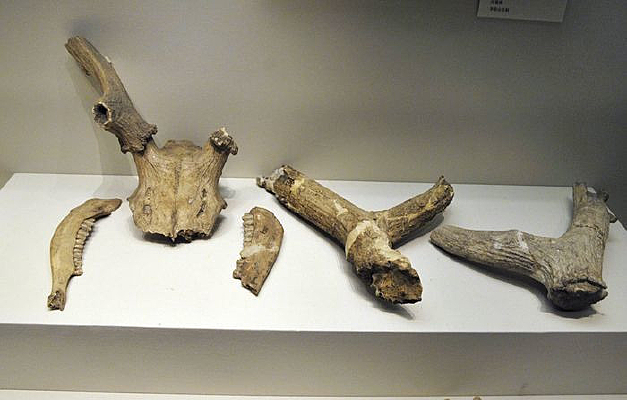 ��ʯ��ʱ�����ڸ��ϰ�¹¹ͷ