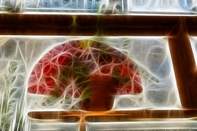 ����ֲ�����Գ���