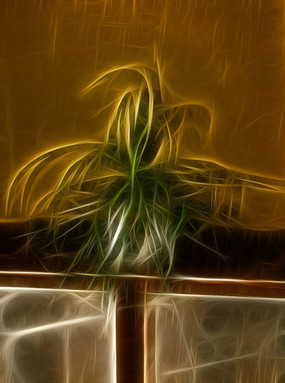 ����ֲ������������