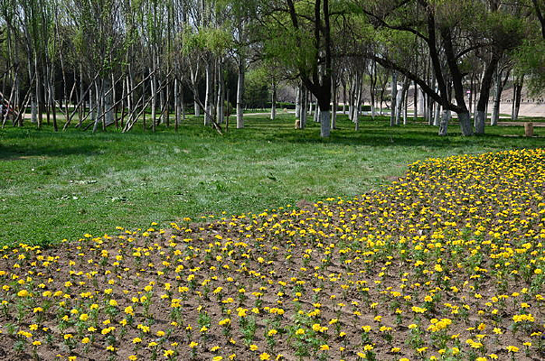 ��ȸ�ݻ���