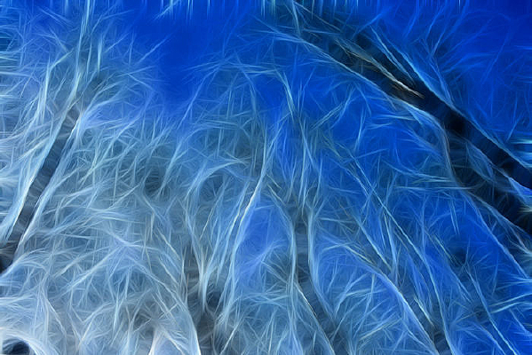 ���������޿�