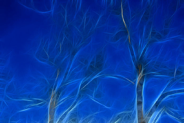 ����װ�λ�